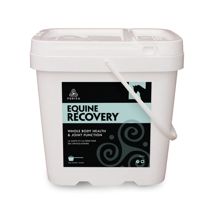 Equine Recovery (5 kg powder )