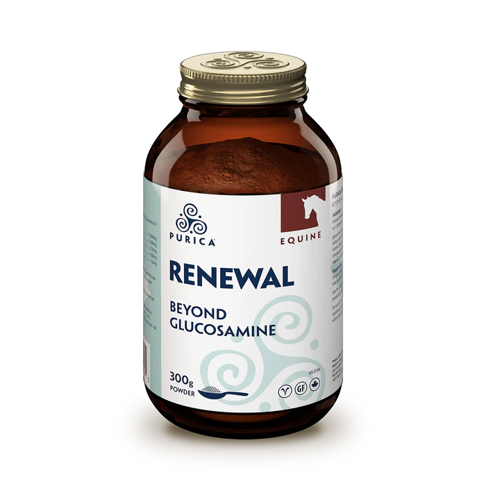 Equine Renewal (300 gram powder )